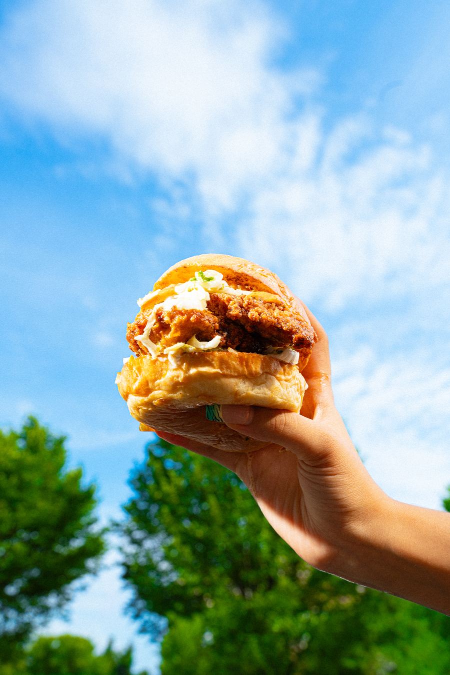 BITE — fried chicken sandwich against the sky